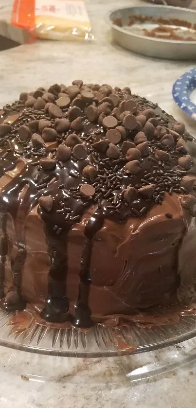 Chocolate cake with rich frosting and toppings, on a glass plate.