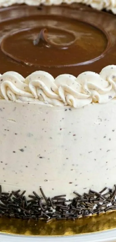 Close-up of a chocolate cake with creamy frosting and decorative toppings.