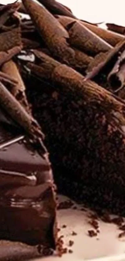 Close-up of a chocolate cake with rich layers and decoration.