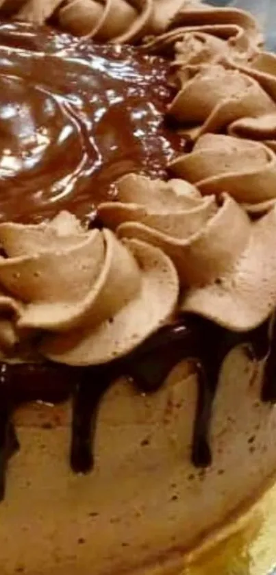 Close-up of a delicious chocolate cake with frosting and icing.