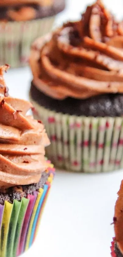 Delicious chocolate cupcakes with creamy frosting arranged enticingly.