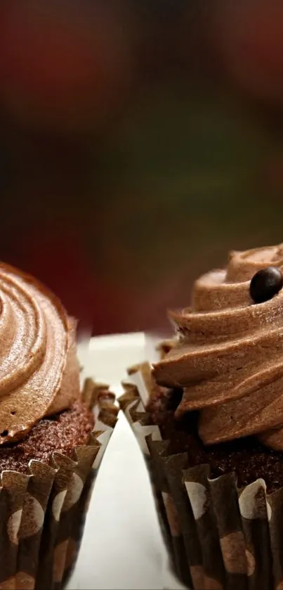 Two chocolate cupcakes with creamy swirls and decorative sprinkles.