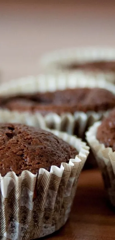 Chocolate muffins on a wooden table wallpaper.
