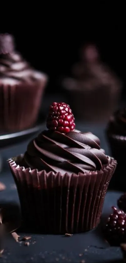 Chocolate cupcakes with raspberries on top against a dark background.