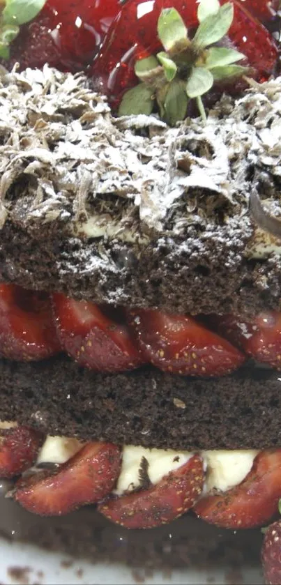 Chocolate strawberry cake with layers and sugar dusting.