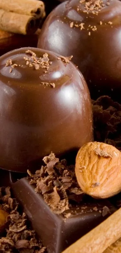 Luxurious chocolate pralines with cinnamon in a rich brown background.