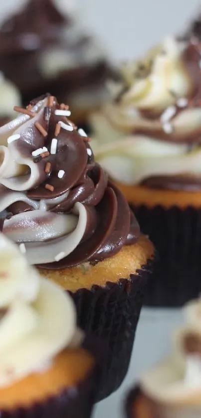 Chocolate cupcakes with vanilla swirls in a tempting arrangement.