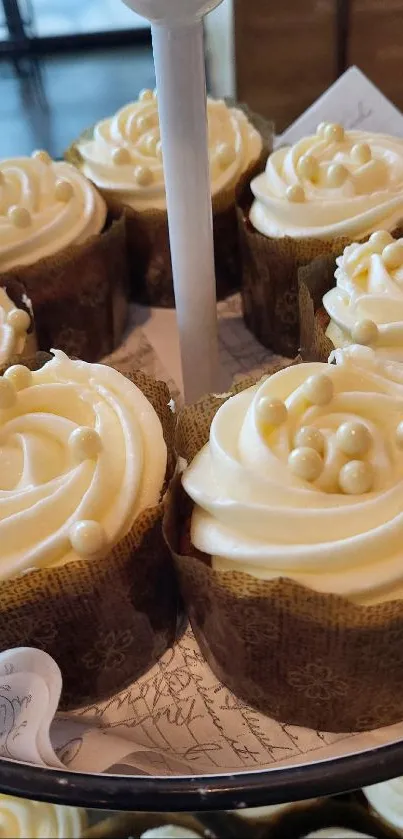 Close-up of frosted cupcakes displayed artistically.