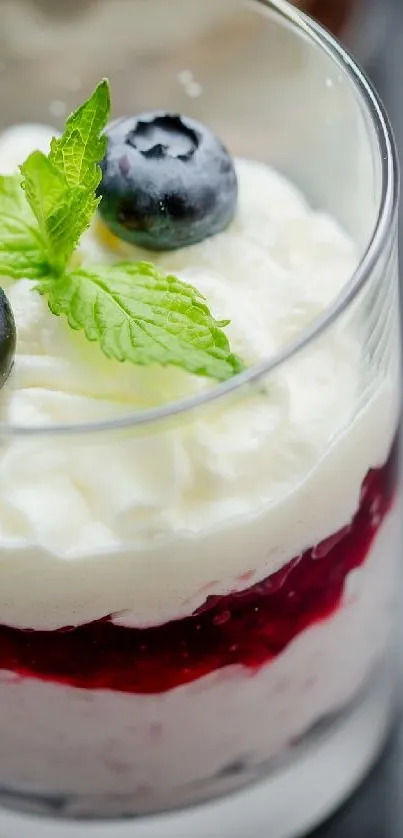 Delicious dessert in a glass with blueberries and mint.