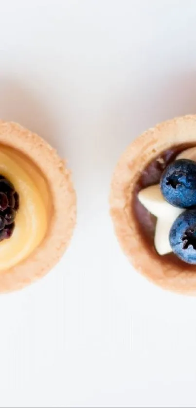 Assorted fruit dessert tarts with delicious toppings.