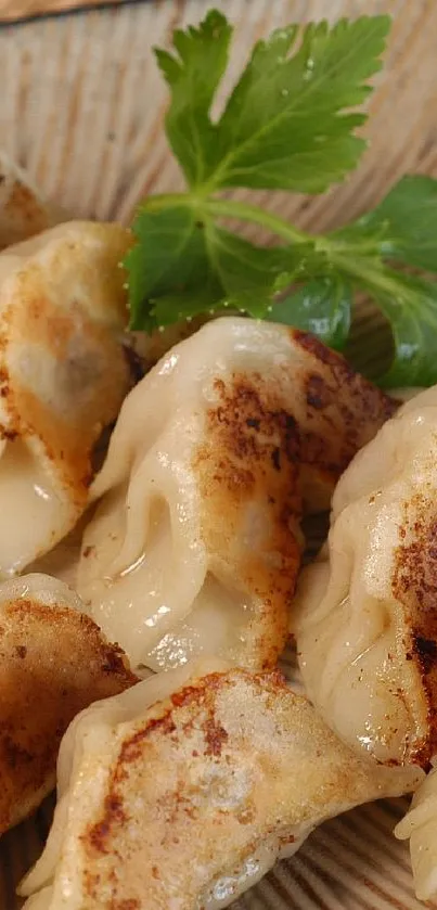 Crispy golden-brown Gyoza dumplings with parsley on a plate.