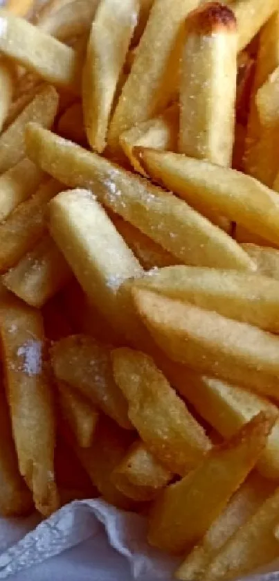 Golden crispy French fries on display.