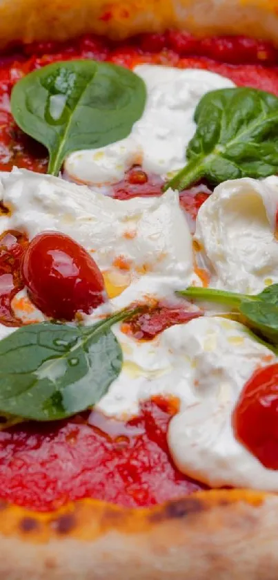 Close-up of a delicious Margherita pizza with vibrant toppings.