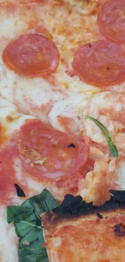 Closeup of a pepperoni pizza with melted cheese and basil.