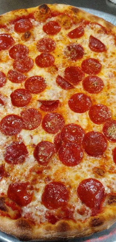 Freshly baked pepperoni pizza on a tray.