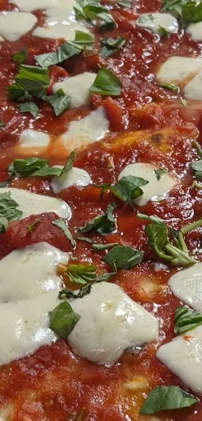 Close-up of Pizza Margherita with basil and mozzarella