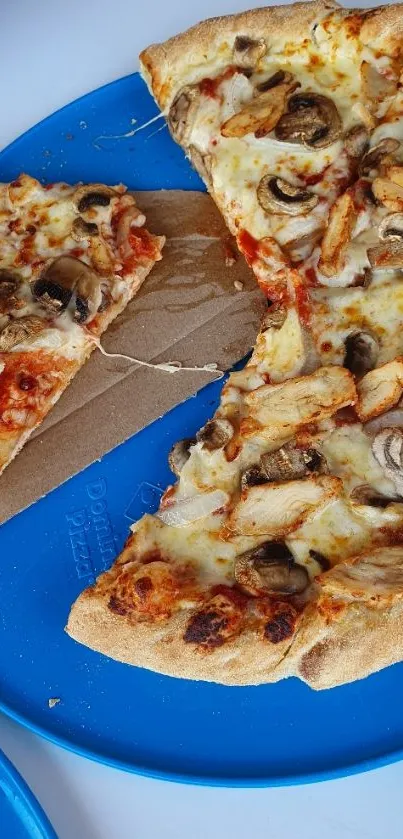 Pizza with mushrooms on blue plate background.