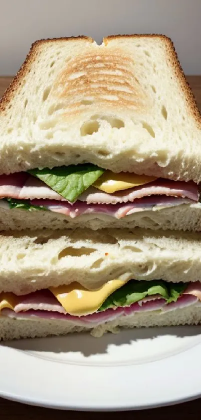 Close-up image of a delicious layered sandwich on a white plate.