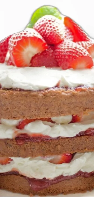 Layered strawberry cake with whipped cream and fruit topping.