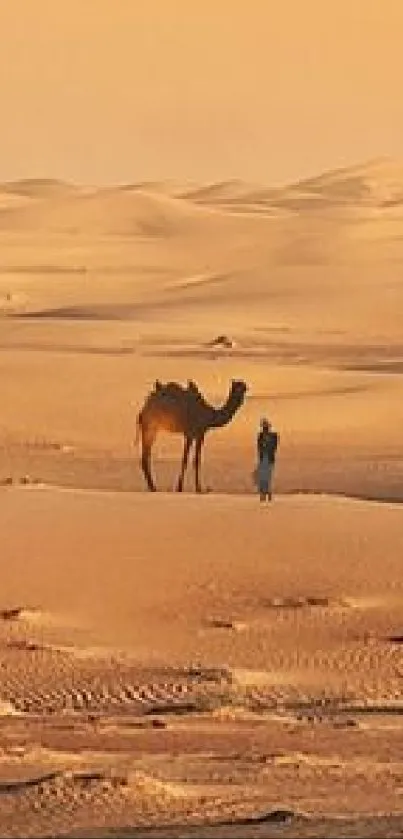 Camel and wanderer in golden desert.