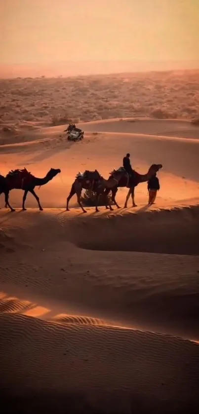 Camel caravan crossing the desert at sunset, casting long shadows.