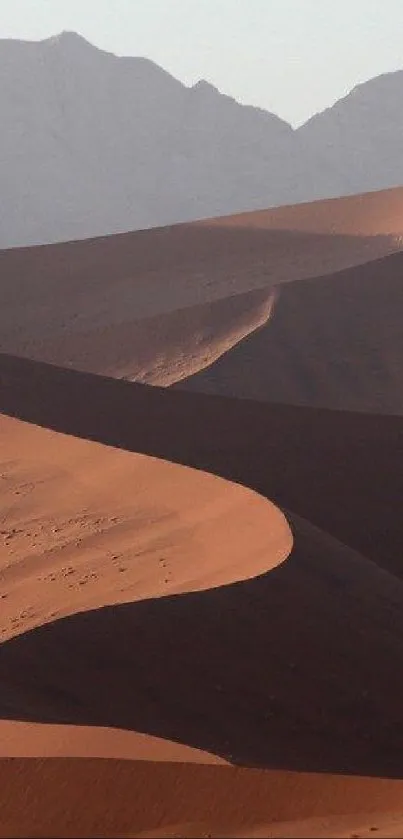 Serene desert dunes with shadows at sunset.