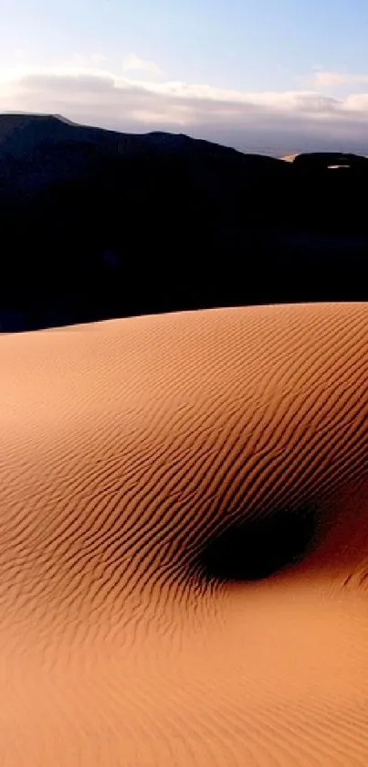 Serene desert dunes under a sunlit sky, perfect for mobile wallpaper.
