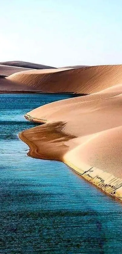 Desert oasis with sand dunes and blue water mobile wallpaper.