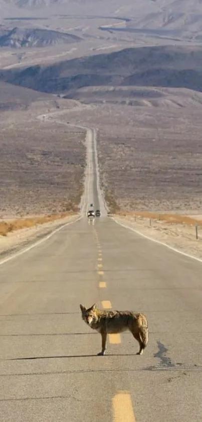 Coyote standing on an endless desert road under clear skies.