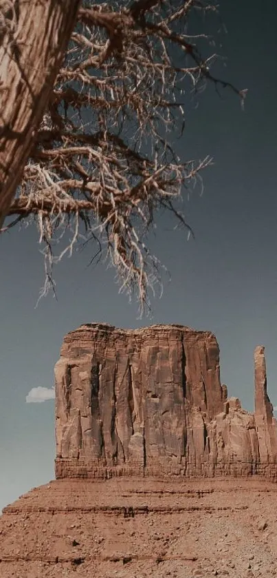 Desert monument with earthy tones against a serene sky.