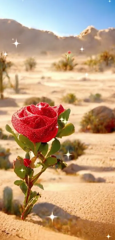 A striking red rose blooming in a sandy desert under a bright blue sky.