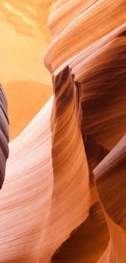 Beautiful desert sandstone canyon texture.