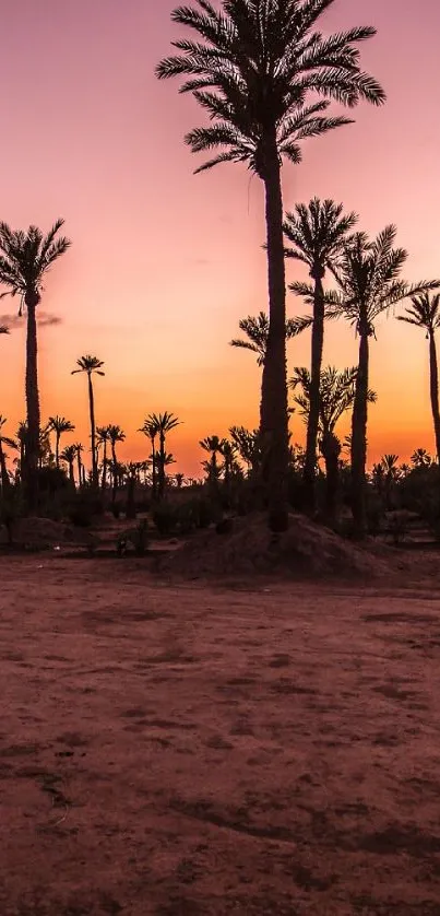 Sunset over desert with palm trees silhouetted against a pink sky.