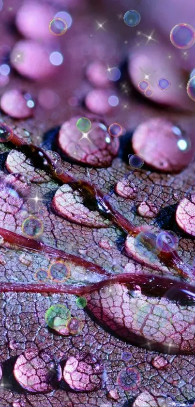 Close-up of a dew-covered purple leaf creating a vibrant background design.