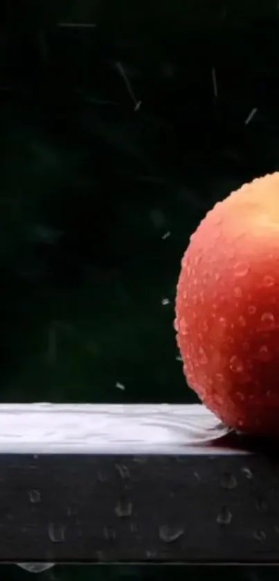 Dew-covered apple on a ledge in rain, perfect for mobile wallpaper.