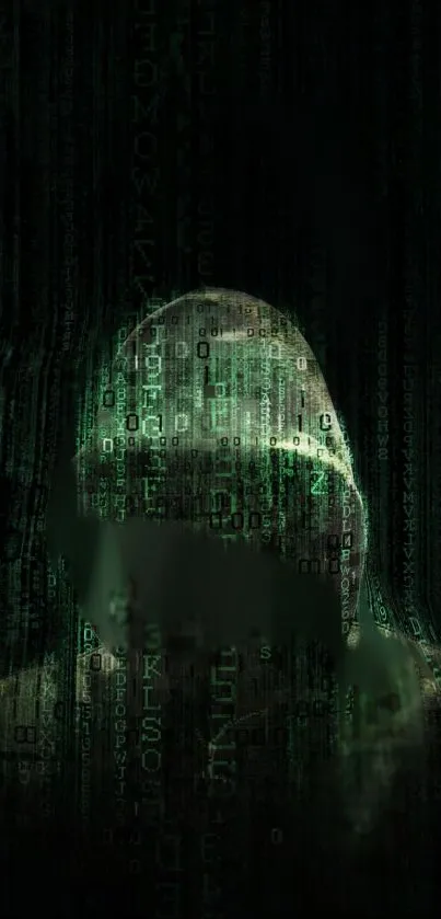 Hooded figure with green code matrix wallpaper.