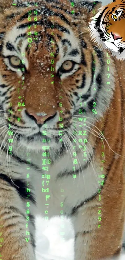 A tiger with digital Matrix code overlay on a snowy background.