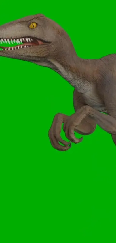 Velociraptor on a vivid green background wallpaper.