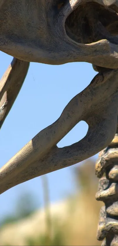 A dinosaur skeleton set against a clear blue sky.