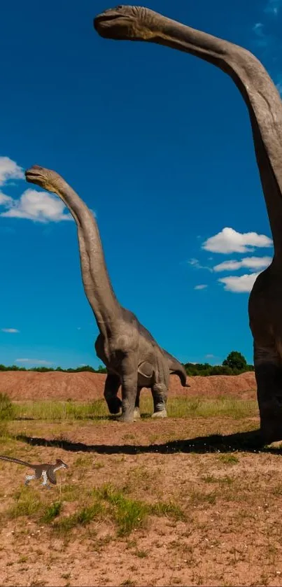 Dinosaurs with long necks on a sunny day, under a vibrant blue sky.