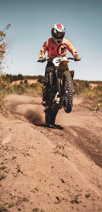 Dirt bike rider performing a stunt on a dusty desert track.