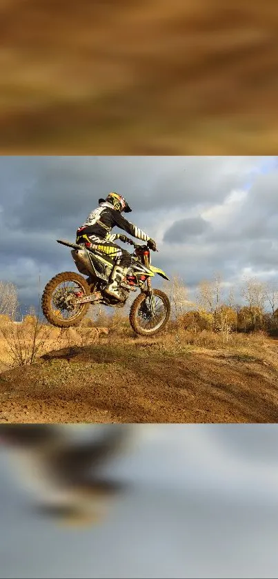 Action-packed dirt bike jump in scenic forest landscape.