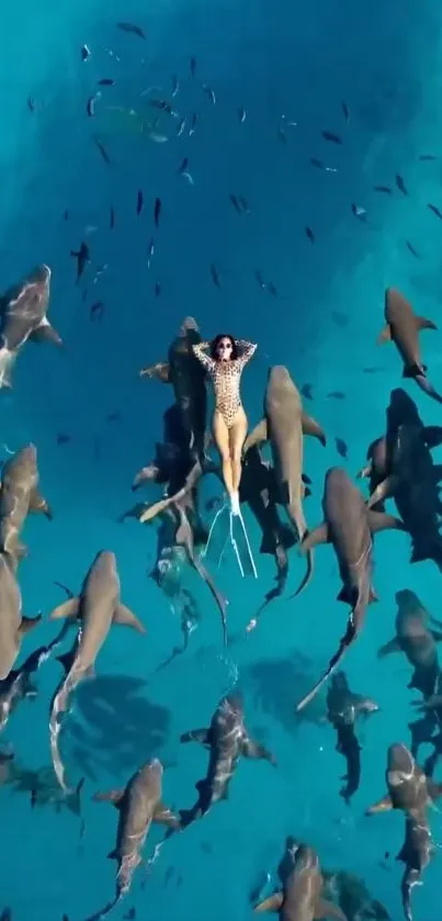 Diver peacefully floating among numerous sharks in vibrant blue waters.