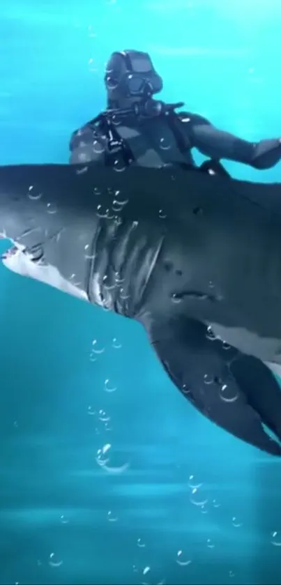 Diver swimming alongside a shark underwater with bubbles.