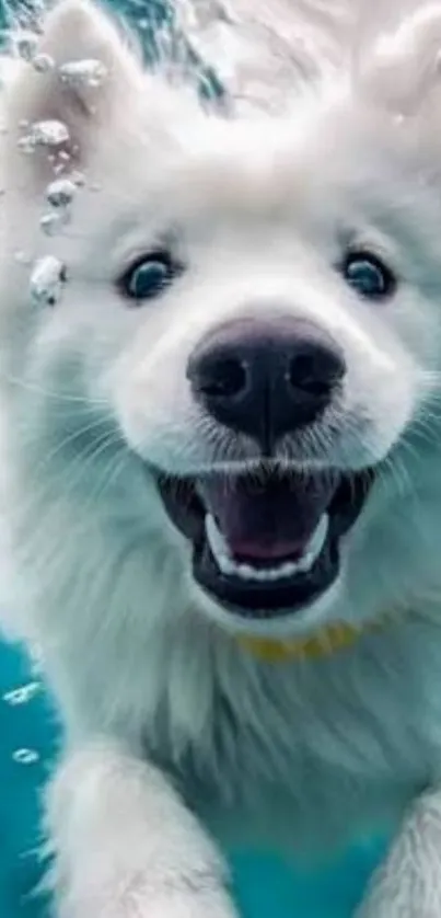 A joyful white dog swimming underwater with a big smile.