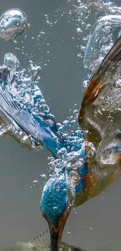 Vibrant kingfisher diving underwater creating splashes.