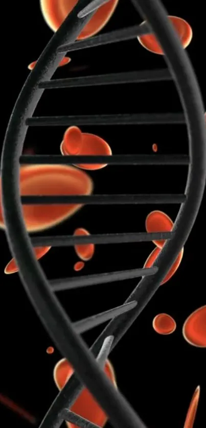 Black DNA helix with vibrant red cells on a dark background.