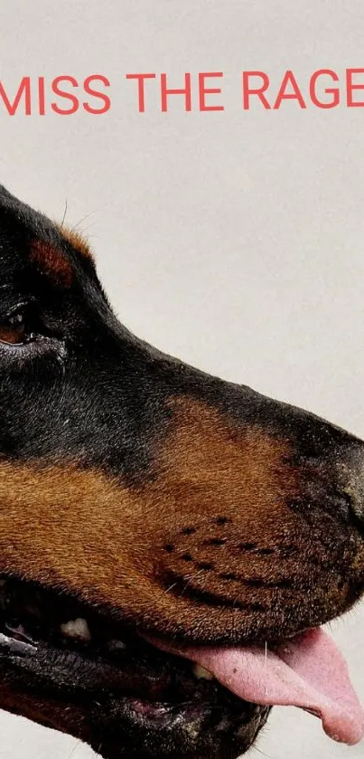 Side profile of Doberman with 'I Miss The Rage' text.