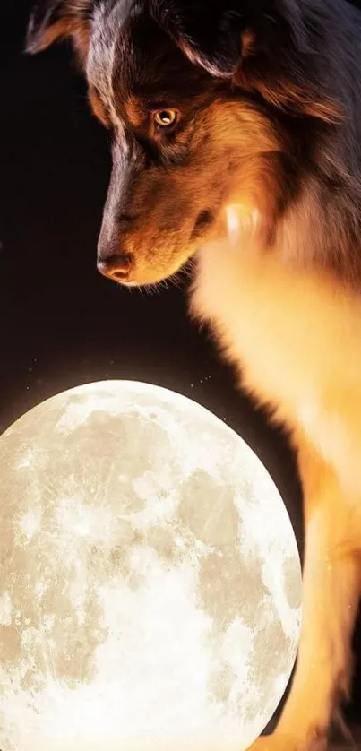 Dog gazes at a luminous moon in serene mobile wallpaper.