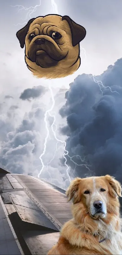 Surreal wallpaper with a dog and stormy sky.